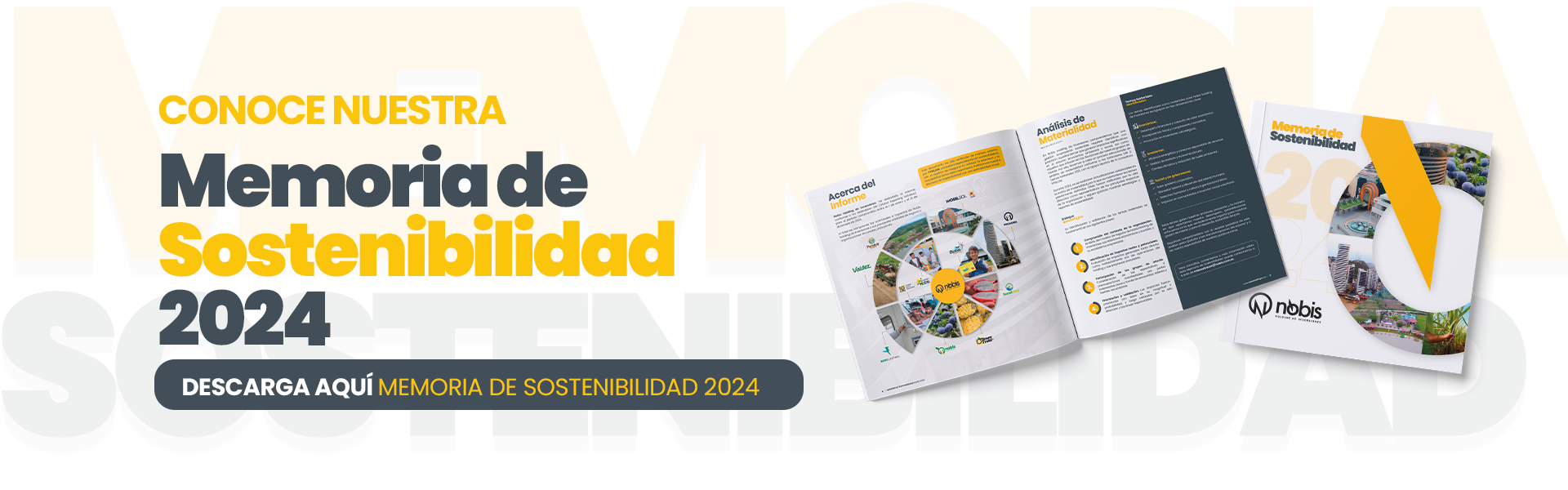 BANNER_WEB_MEMORIA_SOSTENIBILIDAD_2024