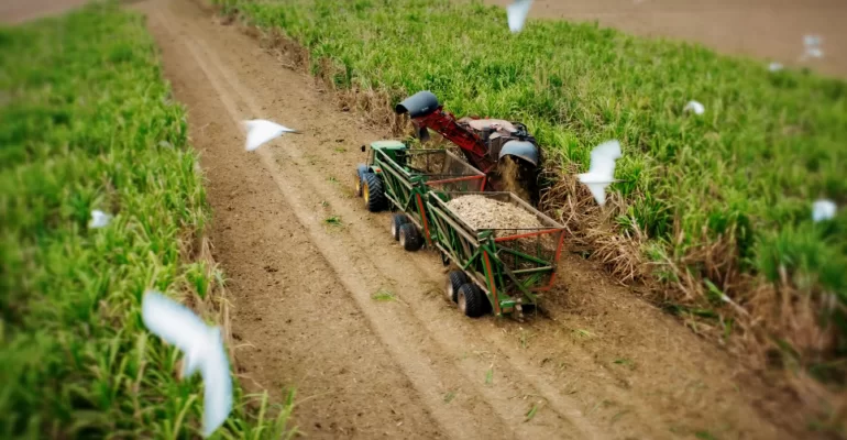 Nobis destaca en procesos de economía circular con la cosecha de caña a través de su Unidad de Negocio Agroindustrial