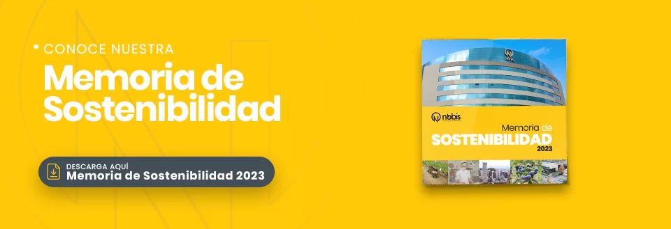 BANNERS_WEB_MEMORIA_NOBIS