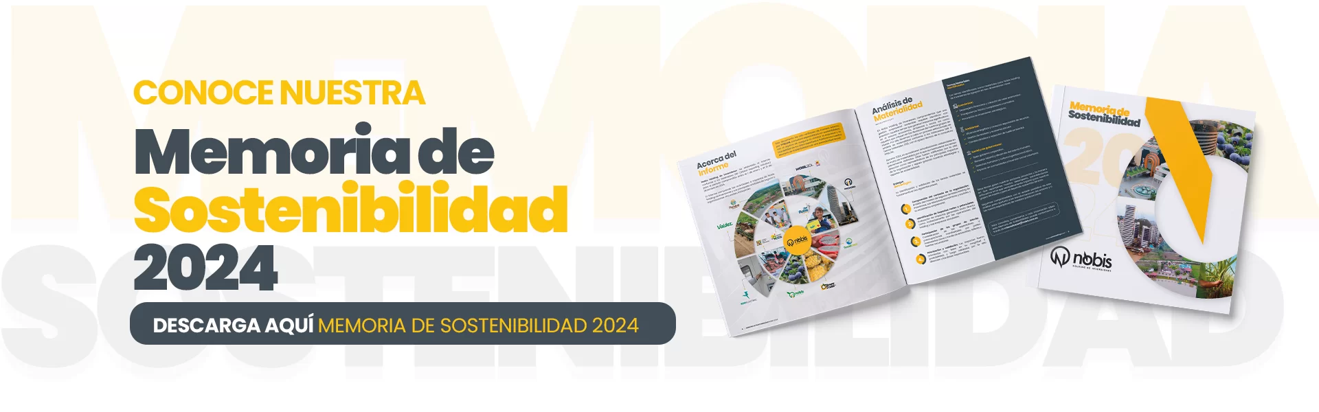 BANNER_WEB_MEMORIA_SOSTENIBILIDAD_2024